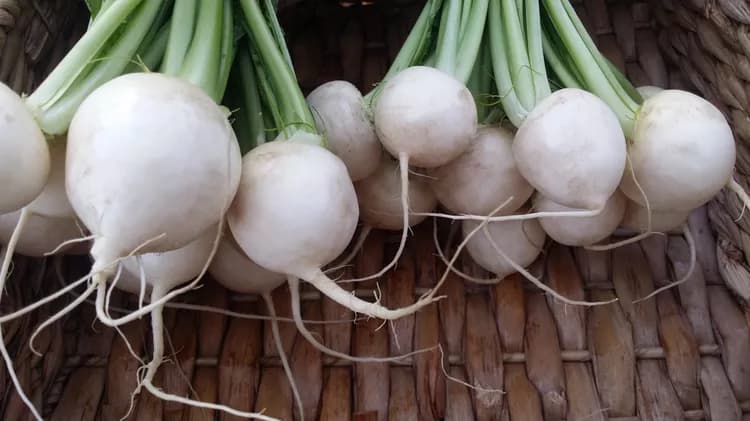 7 Health Benefits Of Turnips