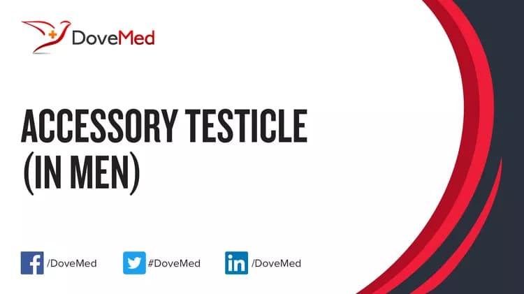 Accessory Testicle (in Men)