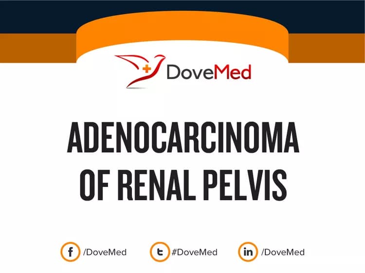 Adenocarcinoma of Renal Pelvis