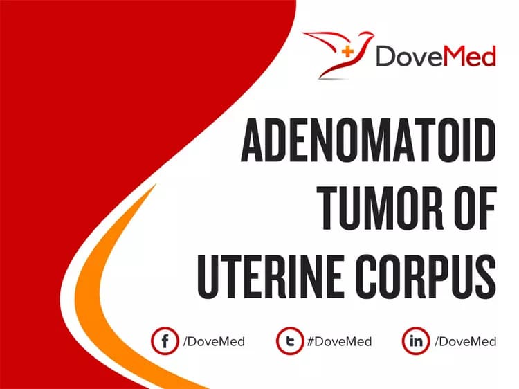 Adenomatoid Tumor of Uterine Corpus