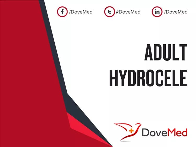 Adult Hydrocele