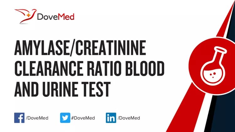 Amylase/Creatinine Clearance Ratio Blood and Urine Test