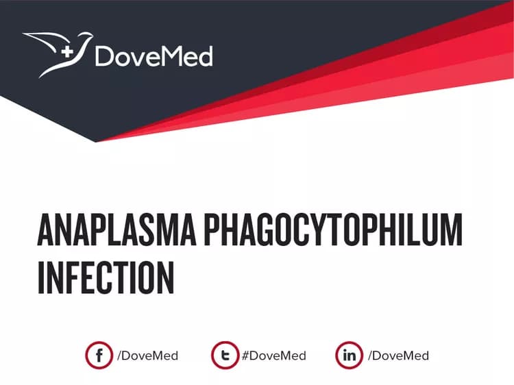 Anaplasma Phagocytophilum Infection