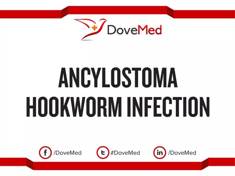 Ancylostoma Hookworm Infection