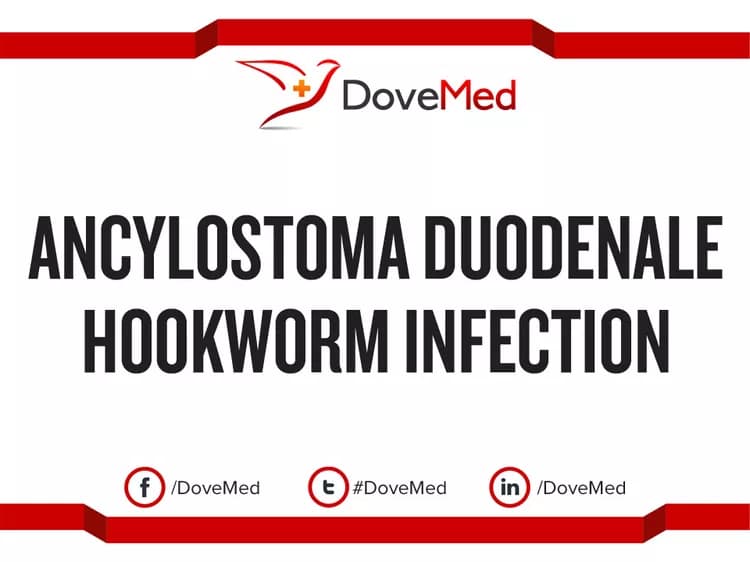 Ancylostoma Duodenale Hookworm Infection