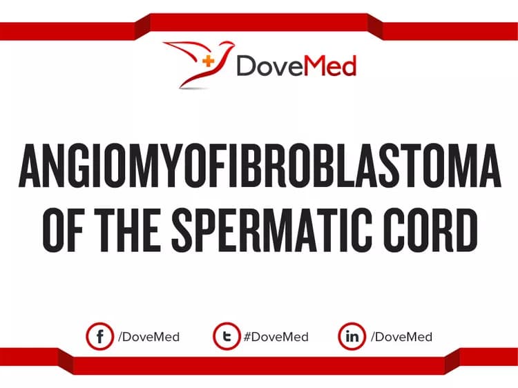 Angiomyofibroblastoma of the Spermatic Cord