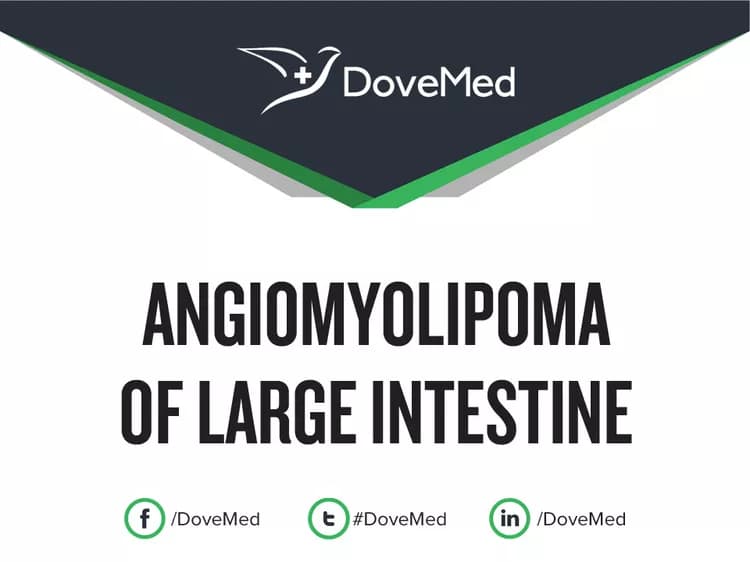Angiomyolipoma of Large Intestine