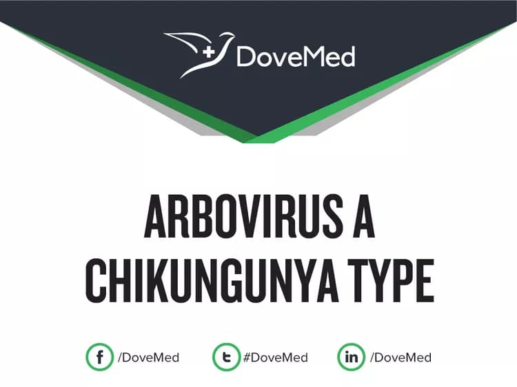 Arbovirus A Chikungunya Type