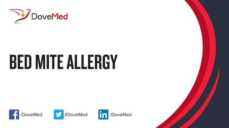 Bed Mite Allergy