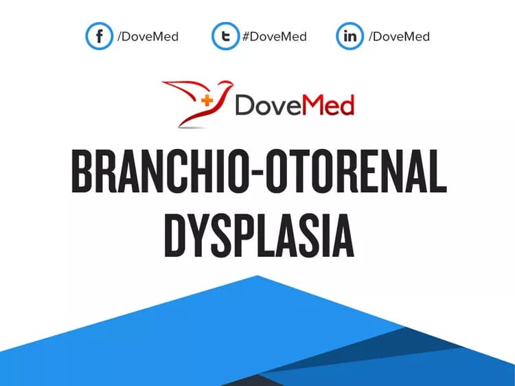 Branchio-Otorenal Dysplasia