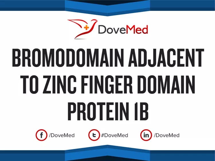 Bromodomain Adjacent to Zinc Finger Domain Protein 1B