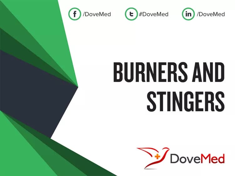 Burners and Stingers