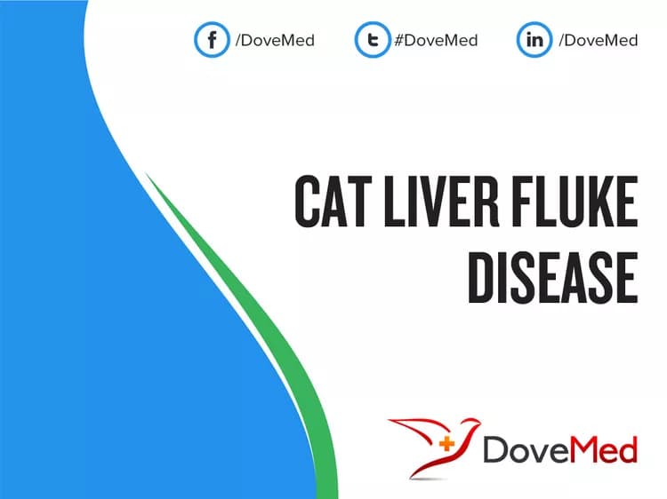 Cat Liver Fluke Disease
