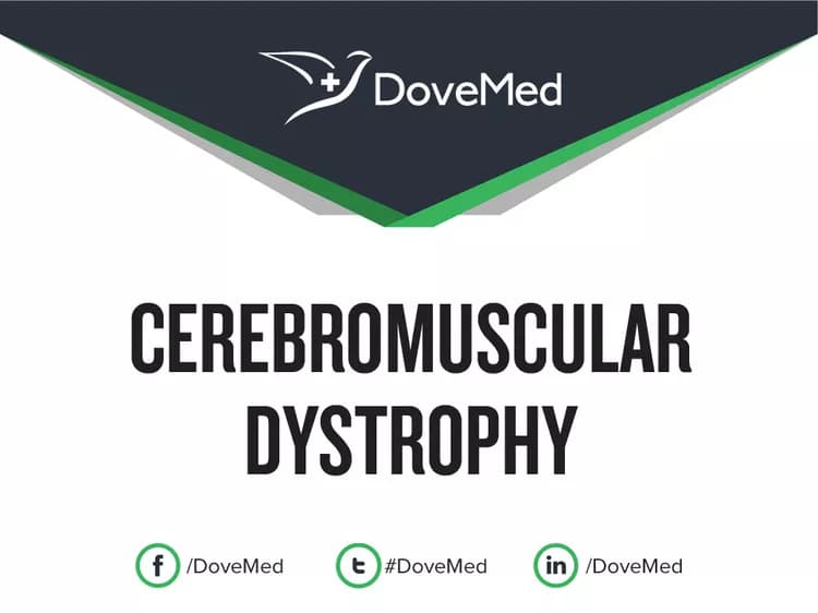 Cerebromuscular Dystrophy (Fukuyama Type)