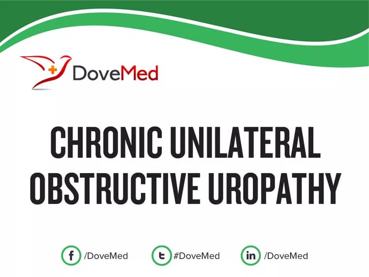 Chronic Unilateral Obstructive Uropathy
