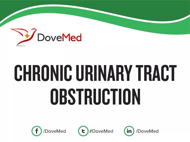 Chronic Urinary Tract Obstruction