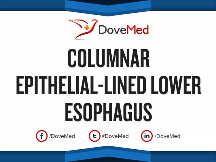 Columnar Epithelial-Lined Lower Esophagus (CELLO)