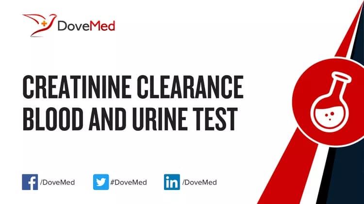 Creatinine Clearance Blood and Urine Test