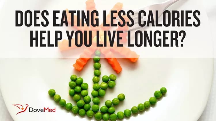 Does Eating Less Calories Help You Live Longer?