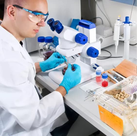 Anti-Sperm Antibodies Semen Test