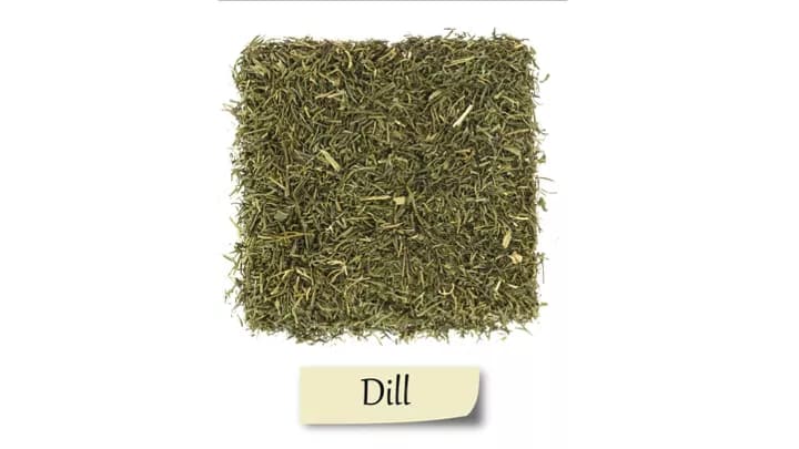 7 Health Benefits Of Dill