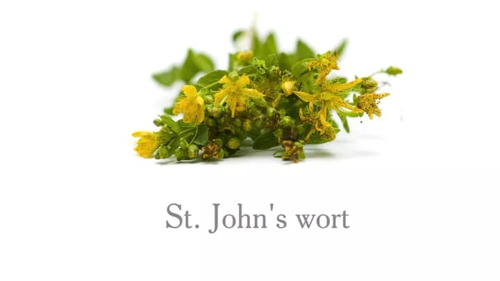 7 Health Benefits of St. John’s Wort