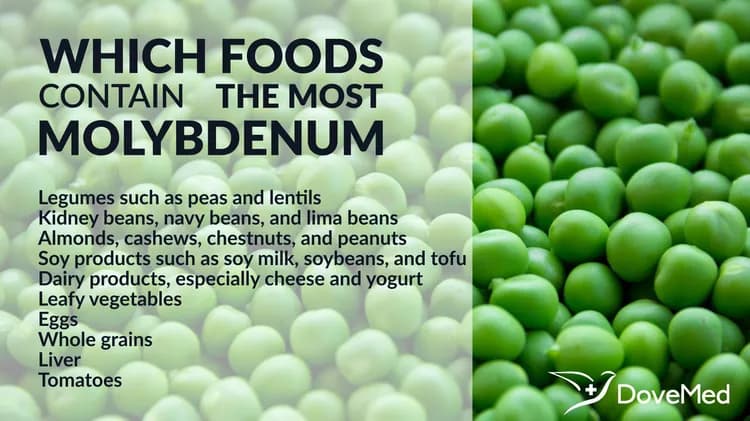 Which Foods Contain The Most Molybdenum?