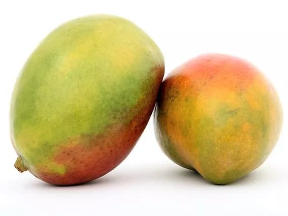 7 Amazing Facts About Mangoes