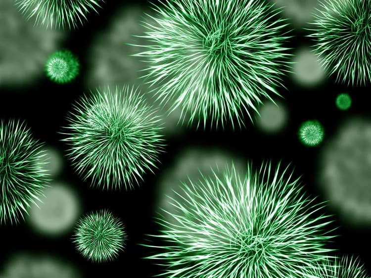 Bacterial In-Fighting Provides New Treatment For Hospital Infections