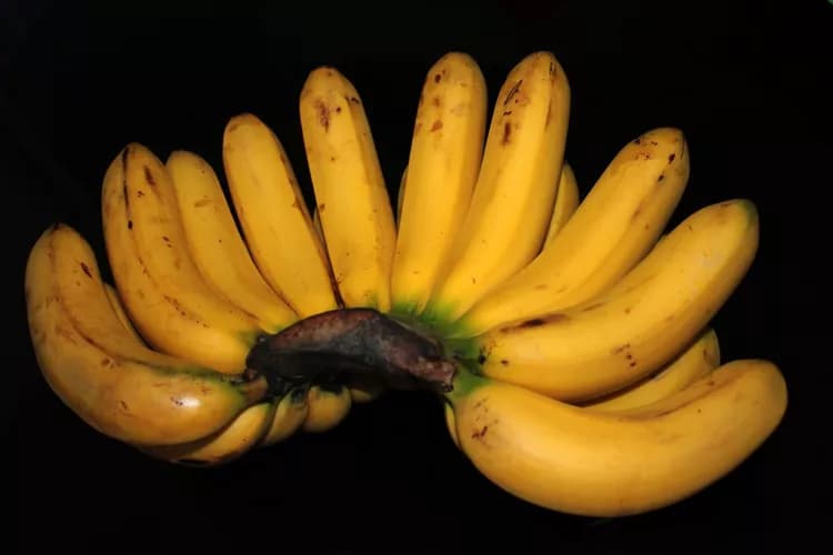 7 Health Benefits Of Bananas