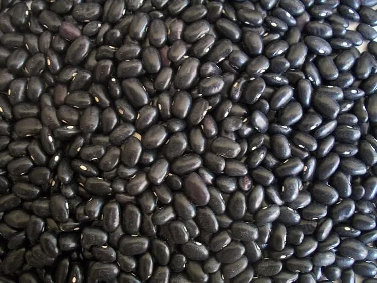 7 Fun Facts About Black Beans