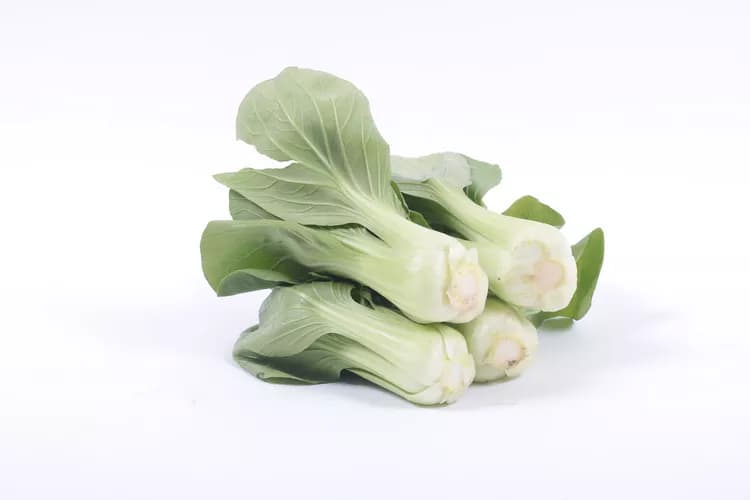 7 Reasons To Try Bok Choy