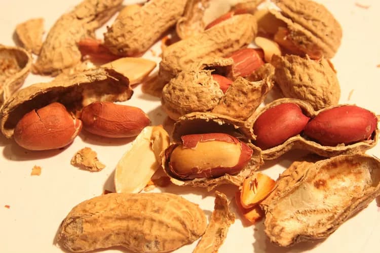 21 Percent Increase In Childhood Peanut Allergy Since 2010