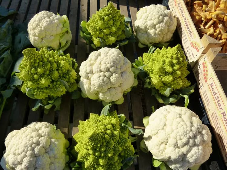 7 Health Benefits Of Cauliflower