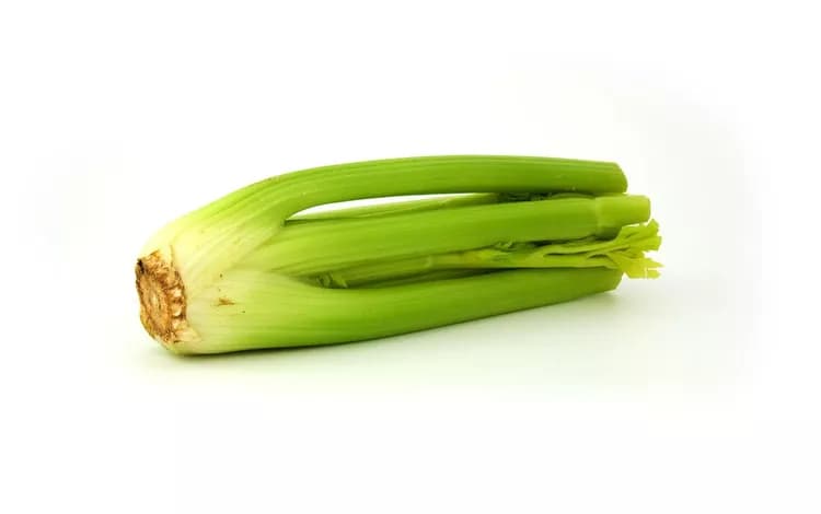 7 Ways Celery Can Improve Health