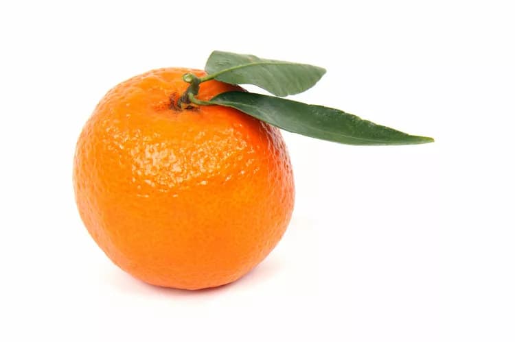 7 Reasons How Clementines Can Make You Feel Better