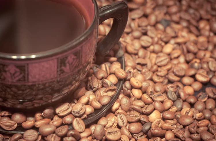 Coffee Consumption May Reduce the Risk Of Multiple Sclerosis