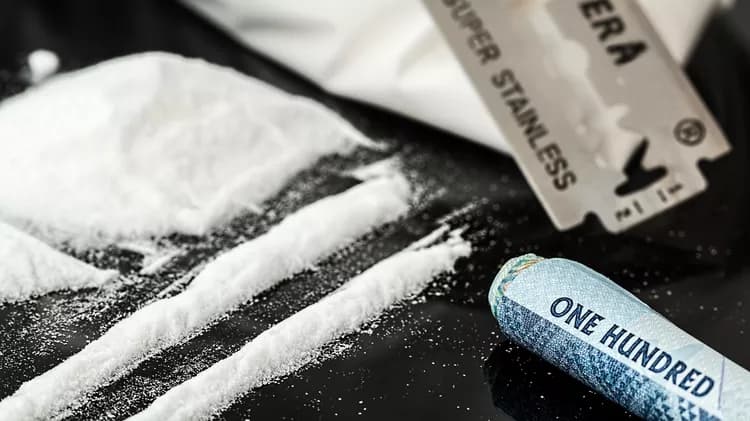 Cocaine Addiction: Scientists Discover 'Back Door' Into The Brain