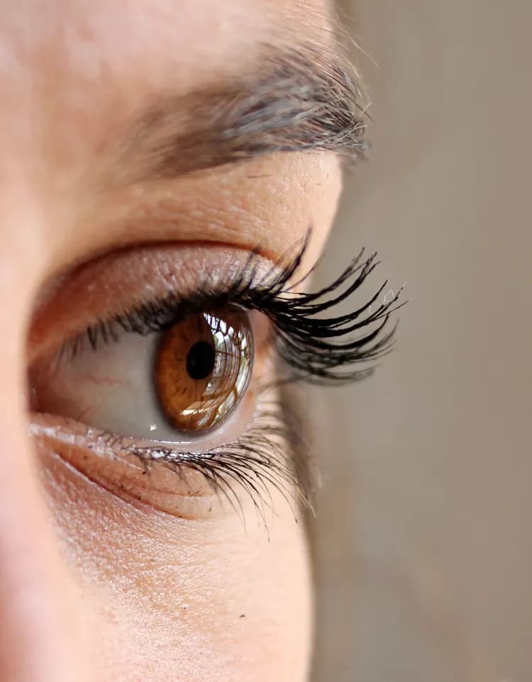 Fast Eye Movements Linked To Impulsive Decisions