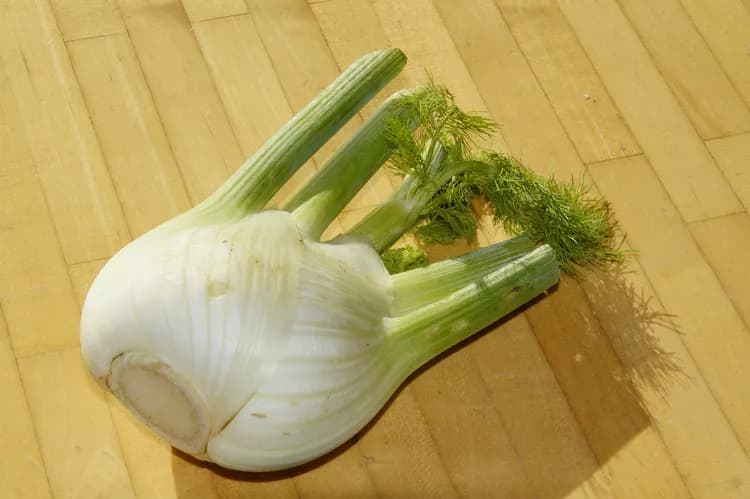 7 Health Facts Of Fennel