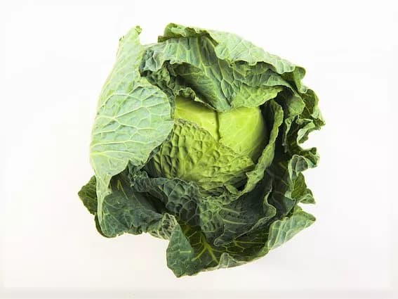 7 Health Benefits Of Cabbage