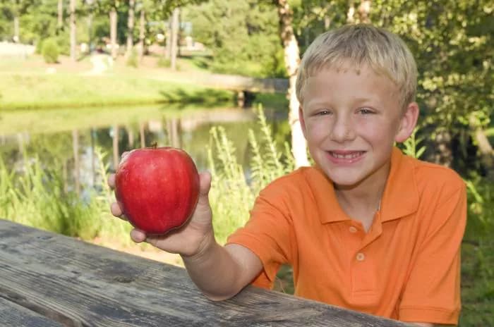 Blood Fatty Acids Reveal Your Child's Diet