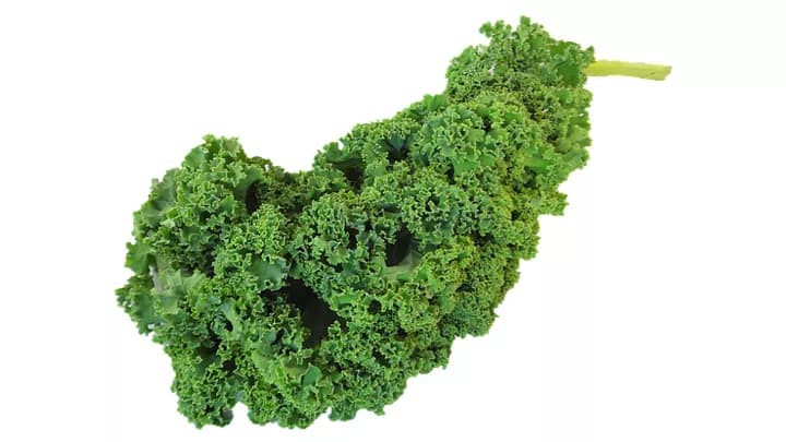 7 Health Benefits Of Kale