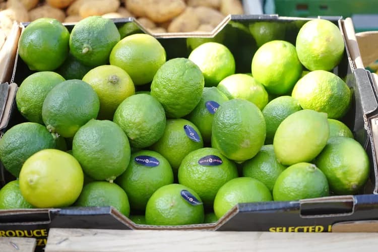7 Health Boosts Of Key Limes
