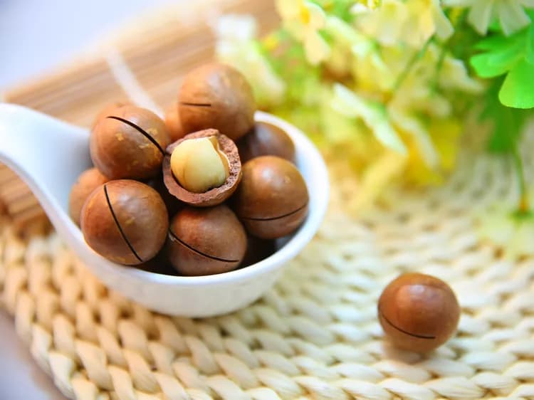7 Health Benefits Of Macadamia Nuts