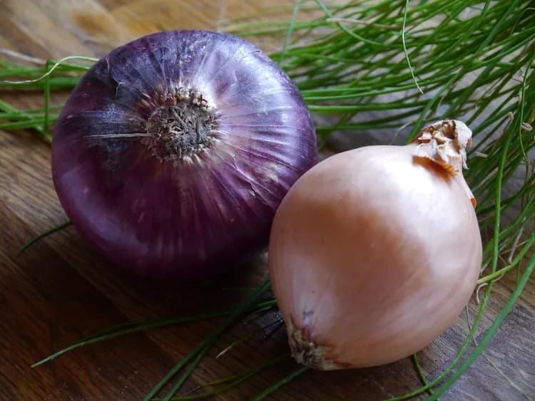 7 Health Benefits Of Onions