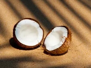 7 Reasons Why Coconuts Are Great For Your Health