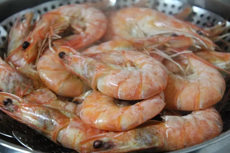 What Are The Health Benefits Of Shrimp?