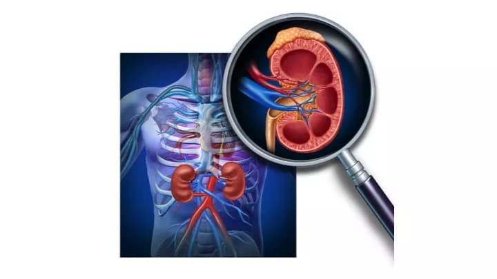 Three Risk Factors Suggest A Reduction In Healthy Renal Function In Patients With Diabetes