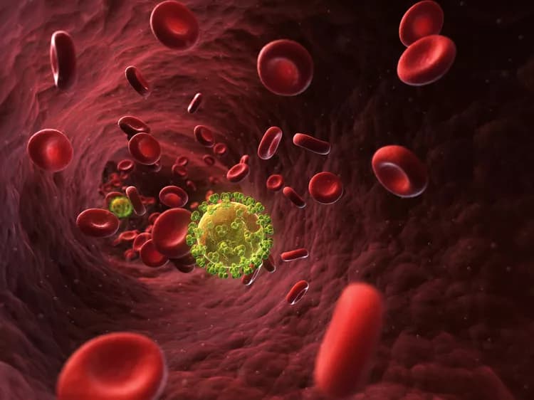 Discovery May Help Control HIV